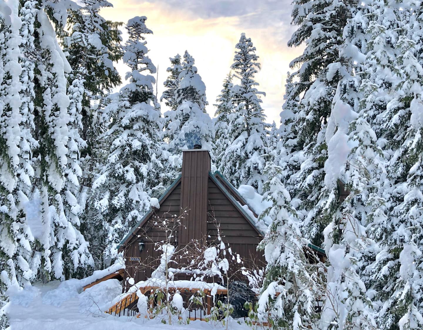 Laurel Hearth surrounded by snow-covered evergreen trees